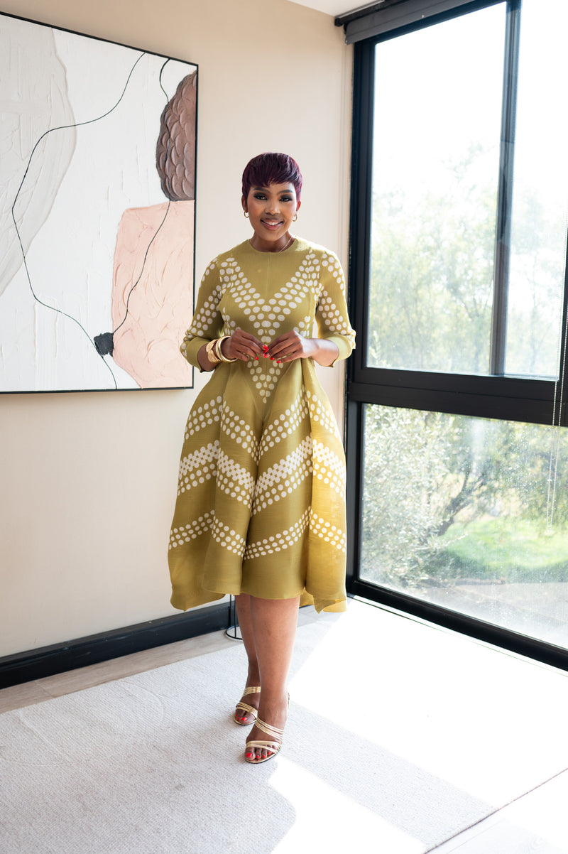 Eleganza Velour Dress