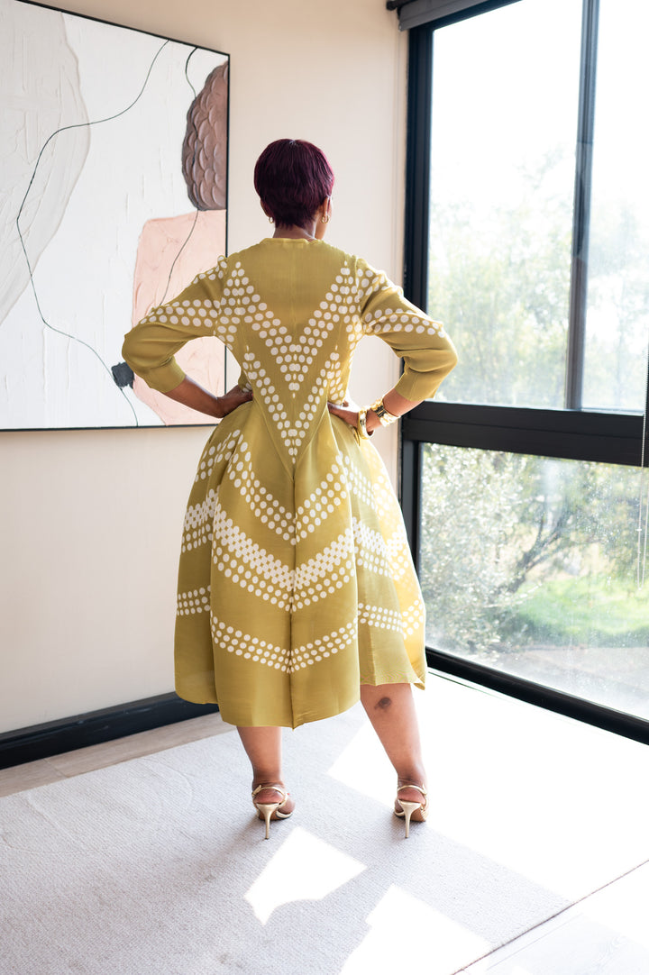 Eleganza Velour Dress