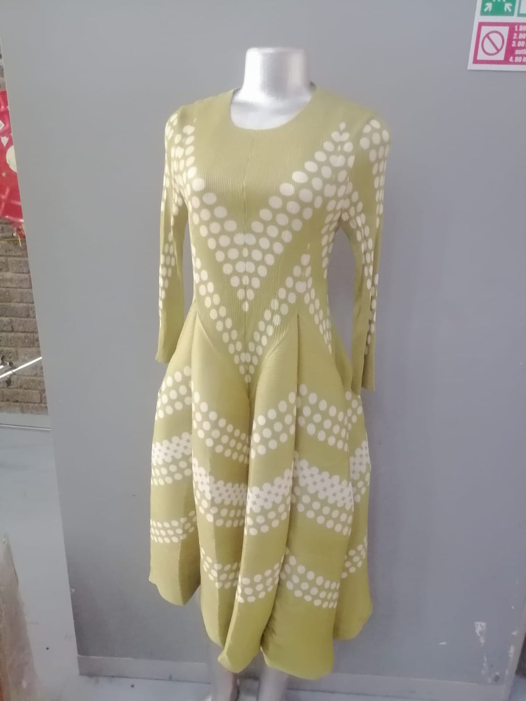 Eleganza Velour Dress