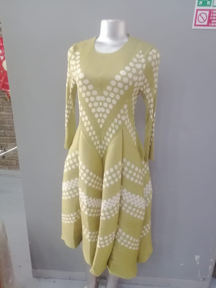 Eleganza Velour Dress