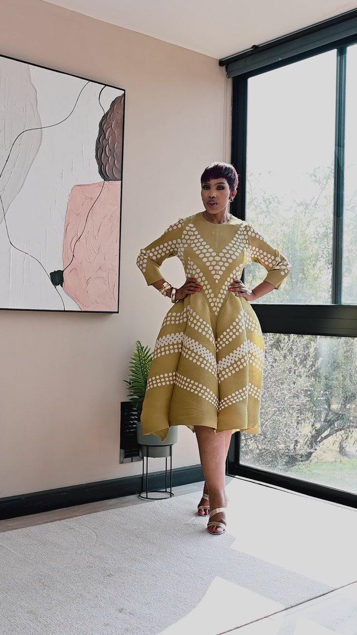 Eleganza Velour Dress